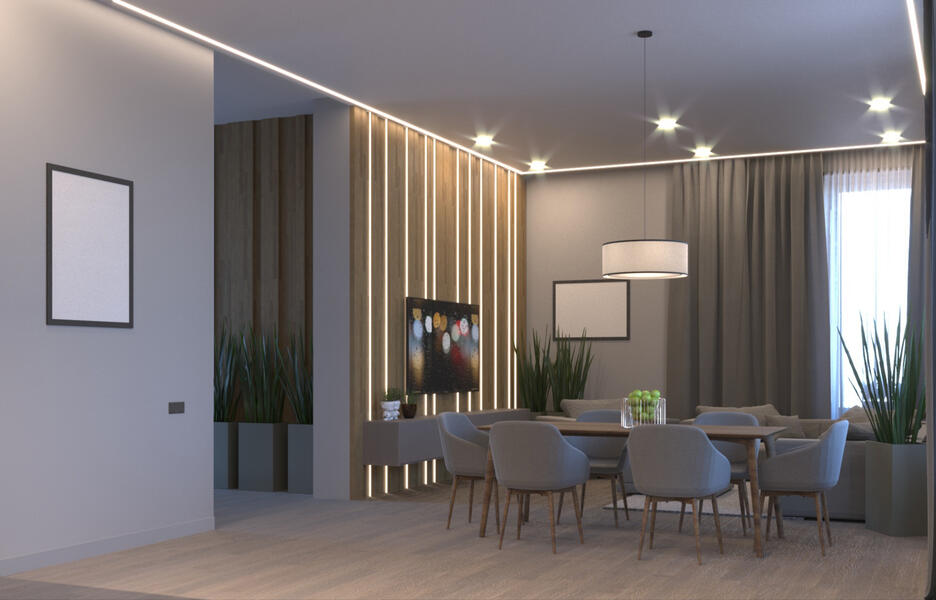 Living room & Dining zone