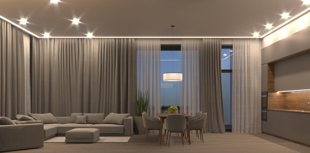 Living room & Dining zone & Kitchen