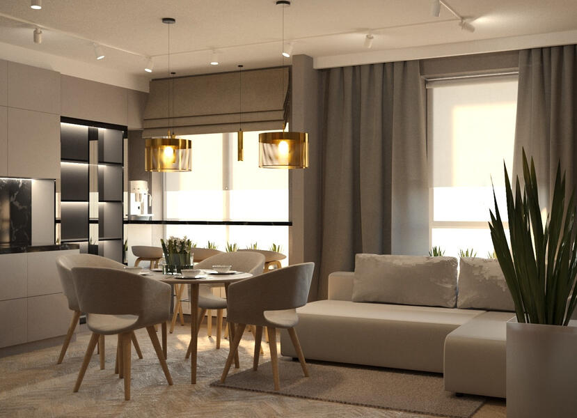 Living room & Dining zone & Kitchen